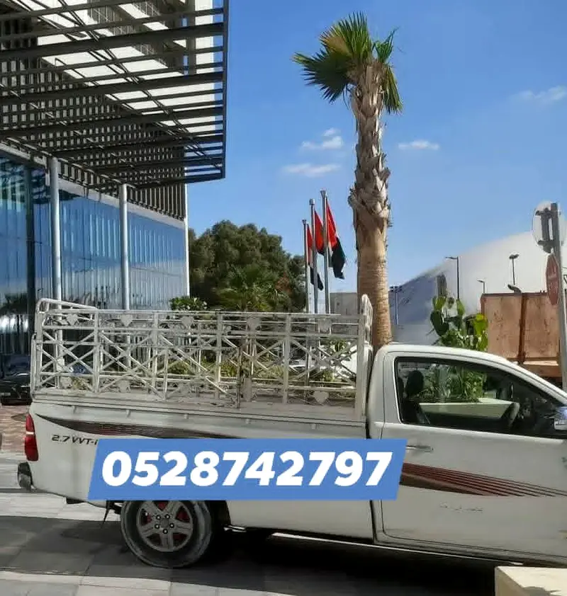 DPV_View_Image_0