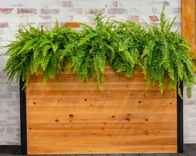 Vita Mezza 16 in. × 59 in. Parklette Planter