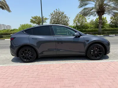 2021 Tesla MODEL Y 照片 3