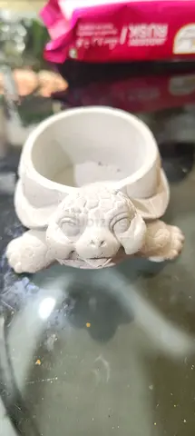 Succulent plant pot for sale