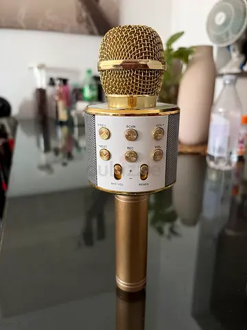 Wireless Bluetooth Karaoke Microphone - Gold (WS-858)
