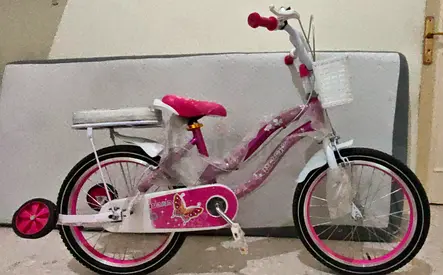 Kids bicycle for girls