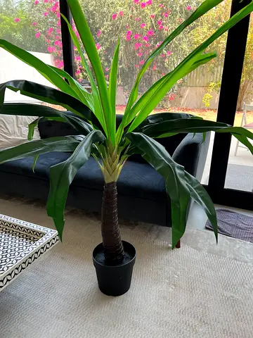 Artificial Plant Palm Tree, Plastic Plant from IKEA, Height 150 cm