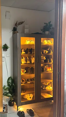 Shoe cabinet