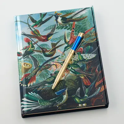 Ancora Discovery Blue Wind Limited Edition of 1919 pens