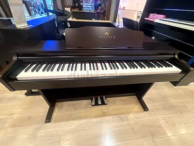 Brand New Steiner DP-250BN