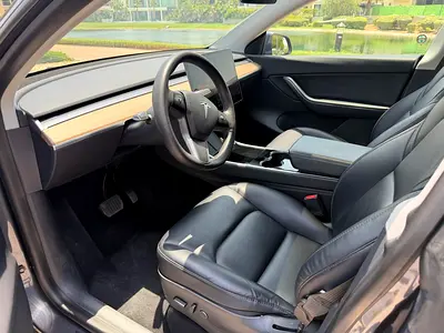 2021 Tesla MODEL Y — миниатюра 16