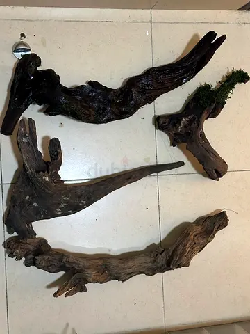 Drift Wood’s