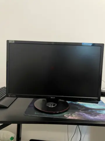 Gaming monitor