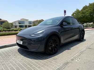 2021 Tesla MODEL Y 照片 10