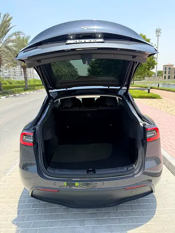 2021 Tesla MODEL Y — миниатюра 12