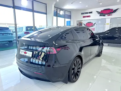 2024 Tesla MODEL Y photo 10