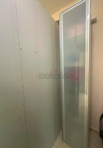 Tall Narrow Frosted Glass Door Cabinet / Wardrobe (Slim Storage)