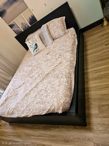 Modern Black Queen Size Bed Frame With Matress
