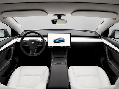 2024 Tesla MODEL Y — фото 8