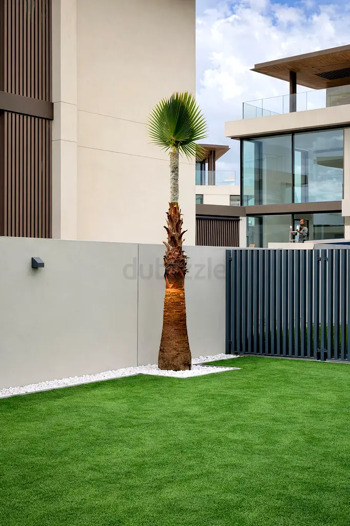 DPV_View_Image_6