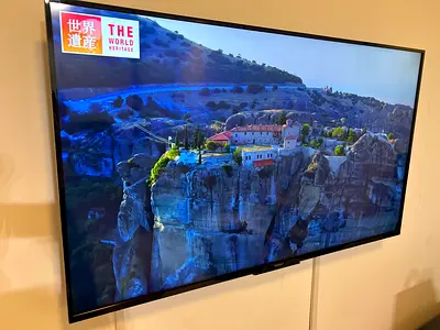 60inch Sony BRAVIA TV - Good working condition