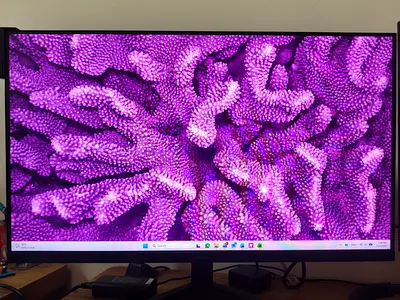 SAMSUNG 27 S3 S31C Essential Full HD Flat Monitor, IPS Panel, 75Hz Refresh rate, Borderless Design
