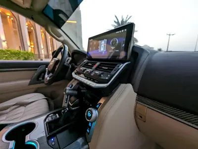 2014 Toyota LAND CRUISER 照片 12