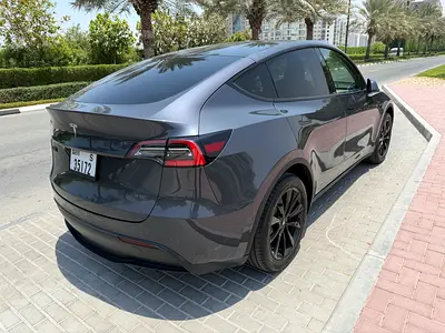 2021 Tesla MODEL Y 照片 4