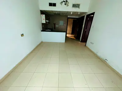 One bedroom and living room, master bedroom, private parking, 2 bathrooms, American-style kitchen, balcony with excellent view