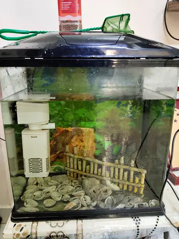 Small 20L Glass Fish Aquarium with Filter, Decor and Lid - Good Condition