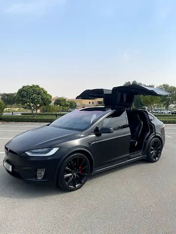 2018 Tesla MODEL X 照片 2