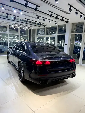 2024 Mercedes-BENZ E-CLASS — миниатюра 10