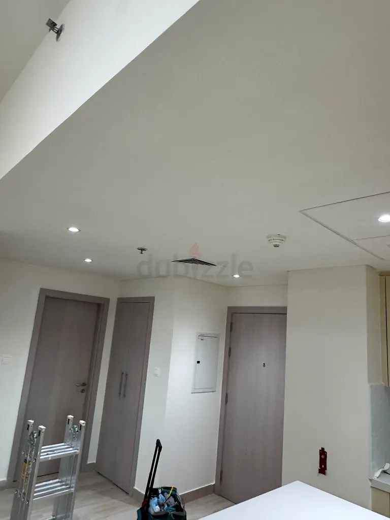 DPV_View_Image_0