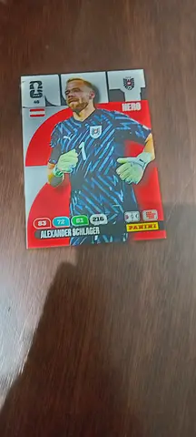 Panini Football Trading Card - Goalkeeper Sticker/Trading Card