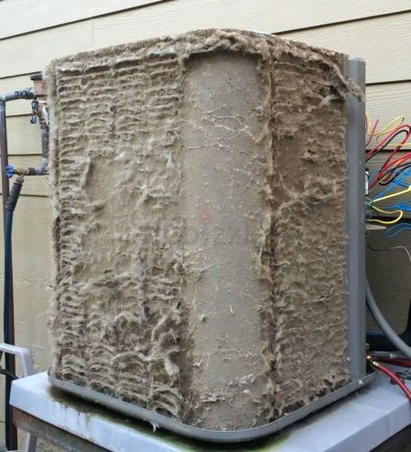 DPV_View_Image_4