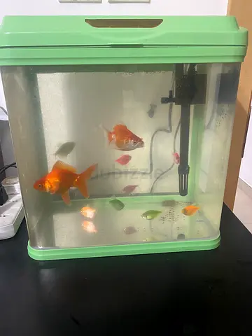 Good fish tank for sale