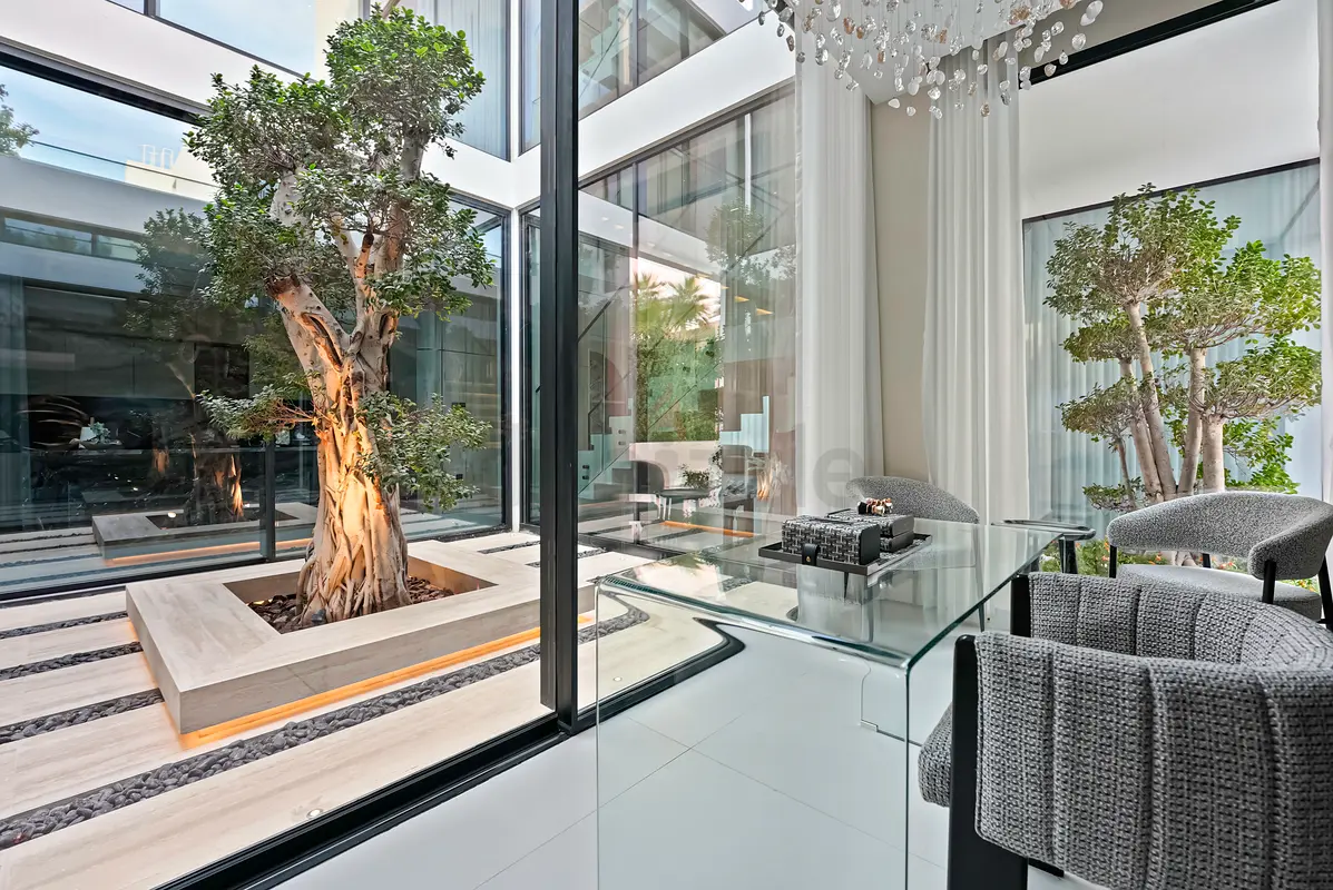 DPV_View_Image_7