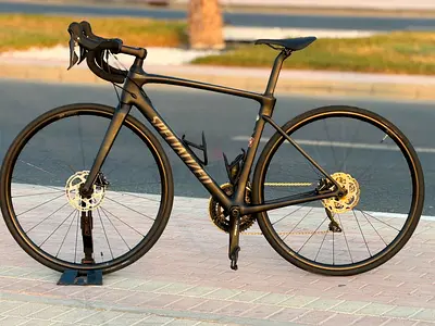 Specialized Roubix carbon/54