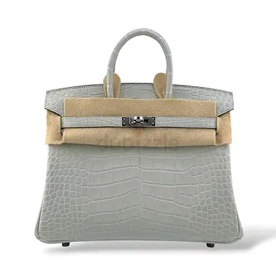 Hermes Birkin 25 Gris Neve Retourne Matte Alligator PHW