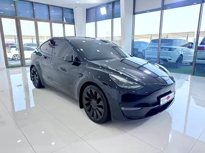 2024 Tesla MODEL Y photo 3
