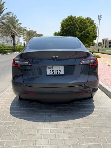 2021 Tesla MODEL Y 照片 5