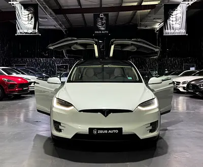 2018 Tesla MODEL X — фото 2