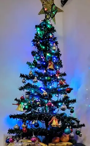 MOVING OUT SALE: Christmas Tree with Lights and Ornaments