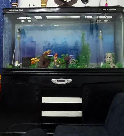 Large Jebo Aquarium with Stand and LED Lighting - Ready to Use