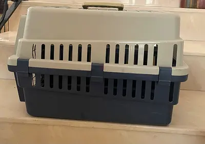 Pet carrier