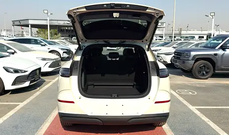 BYD Sealion Premium, миниатюра 8