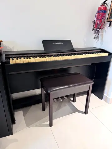 Black Wilh. Steinberg DPP-01 Maestro Pro digital piano