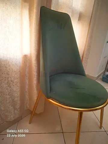 Chair in Excellent Condition