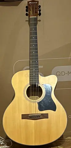 String Guitar
