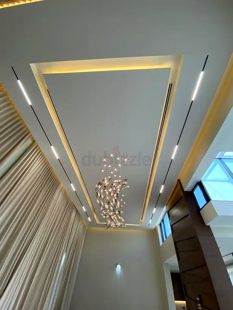 DPV_View_Image_7