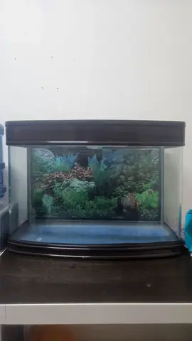 Aquarium