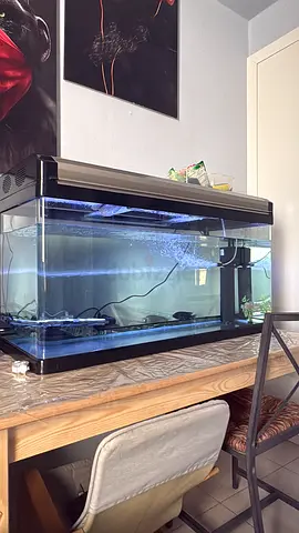 Fish tank