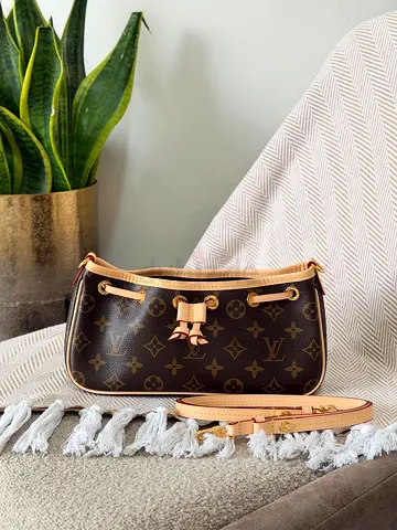Louis Vuitton bag for women