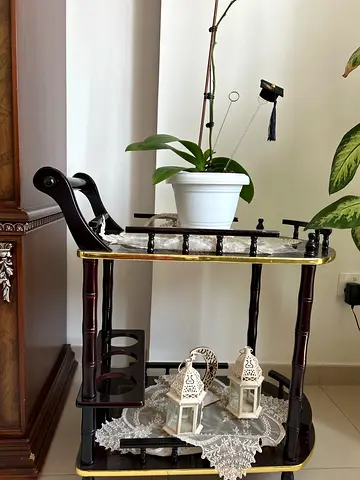 serving trolley